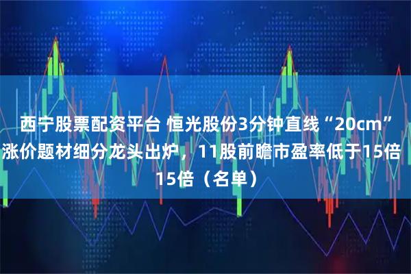 西宁股票配资平台 恒光股份3分钟直线“20cm”涨停!涨价题材细分龙头出炉,11股前瞻市盈率低于15倍(名单)